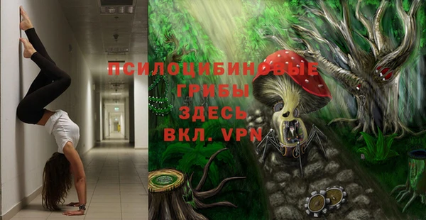 ешки Белоозёрский