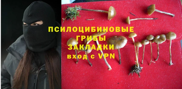 ешки Белоозёрский