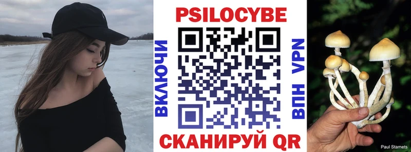 наркота  Отрадная  blacksprut ссылки  Псилоцибиновые грибы мухоморы 